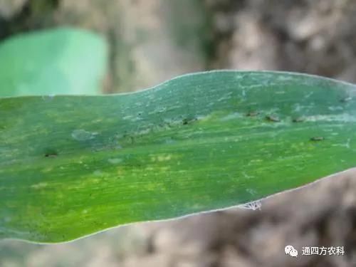 הQôkץoQӰ푮a(chn)!!!